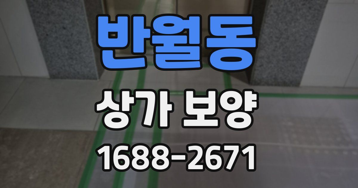 반월동 상가 보양