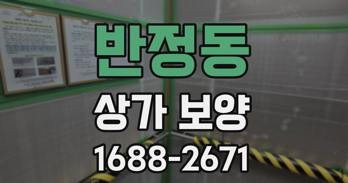 반정동 상가 보양