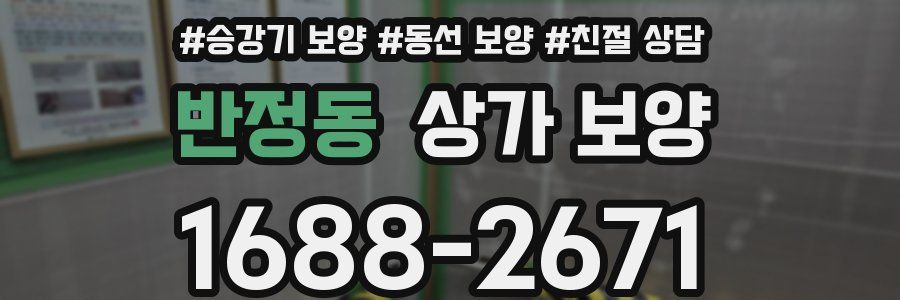 반정동 상가 보양