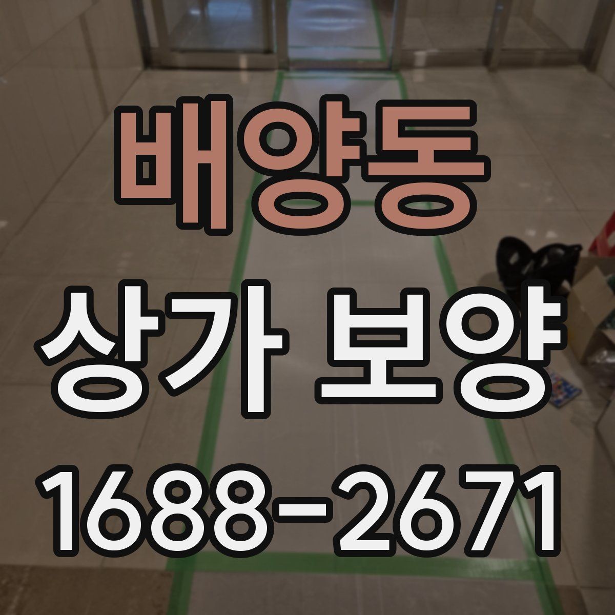 배양동 상가 보양 공사에서 하자 방지를 위해 살필 점
