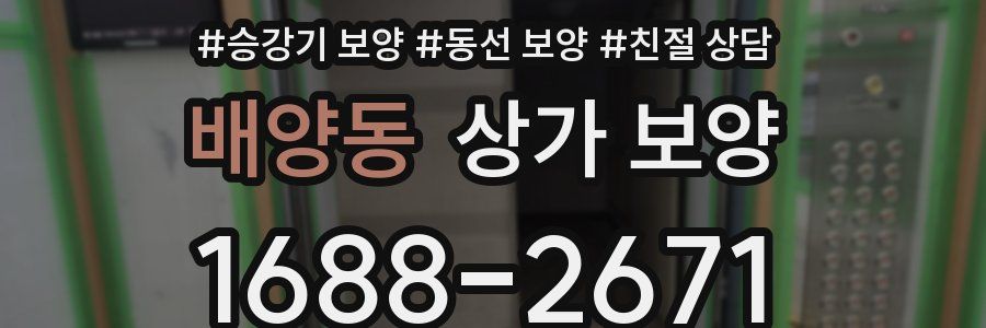 배양동 상가 보양