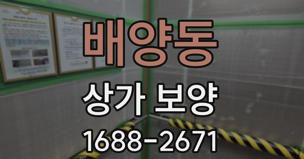 배양동 상가 보양