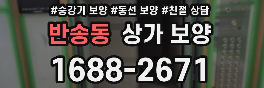 반송동 상가 보양