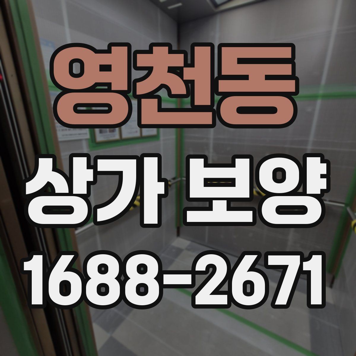 영천동 상가 보양 시 공정 간 조율 방법