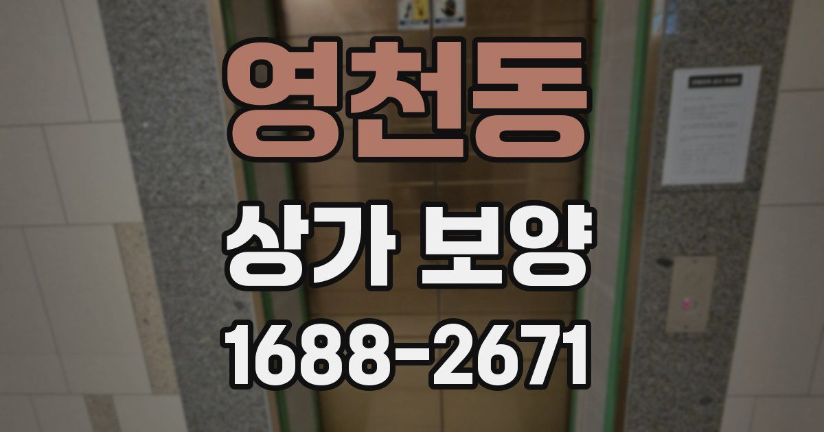 영천동 상가 보양