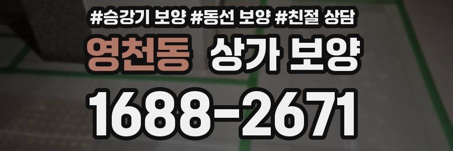 영천동 상가 보양
