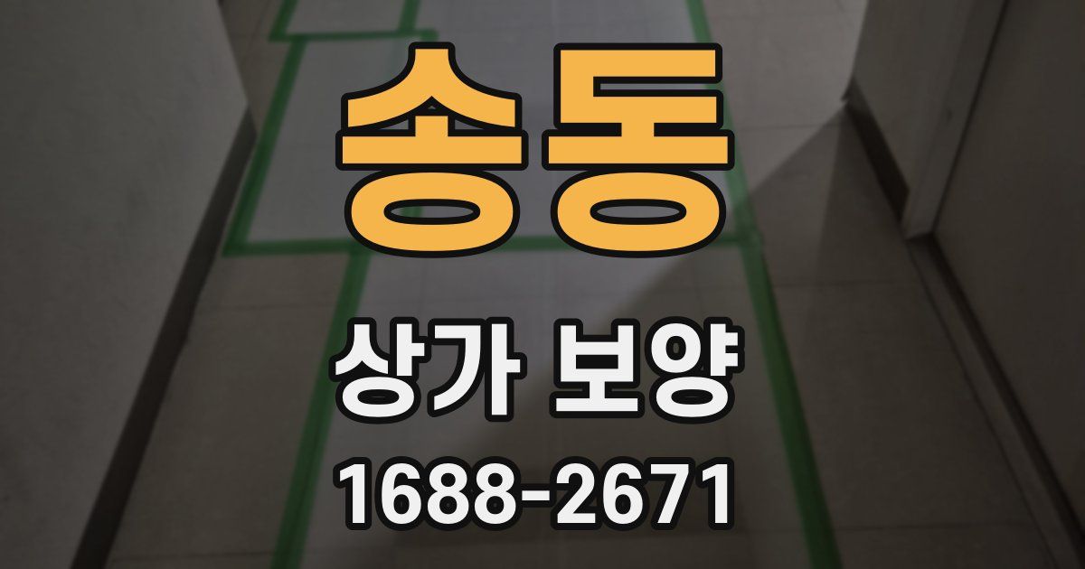 송동 상가 보양
