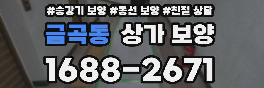 금곡동 상가 보양