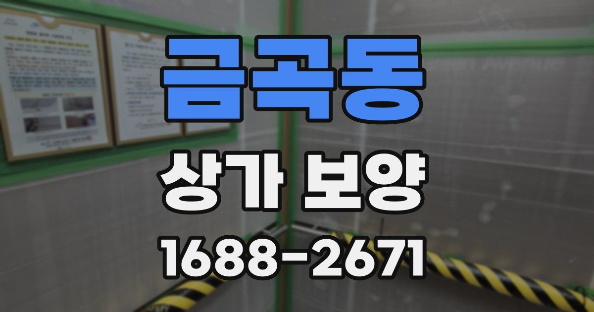 금곡동 상가 보양
