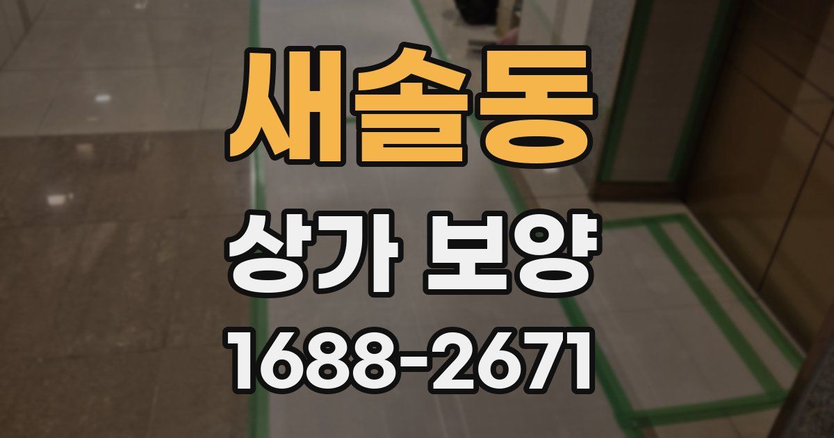 새솔동 상가 보양