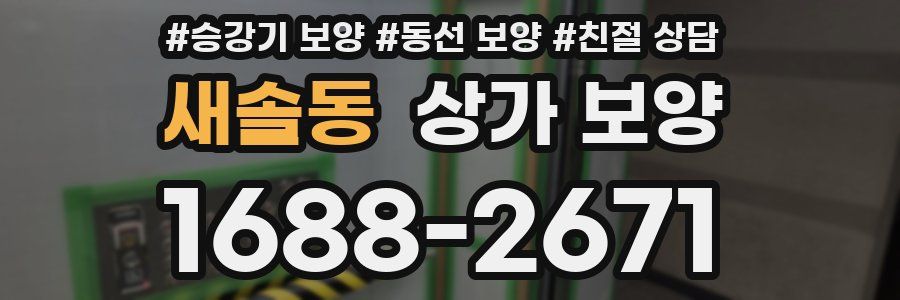 새솔동 상가 보양