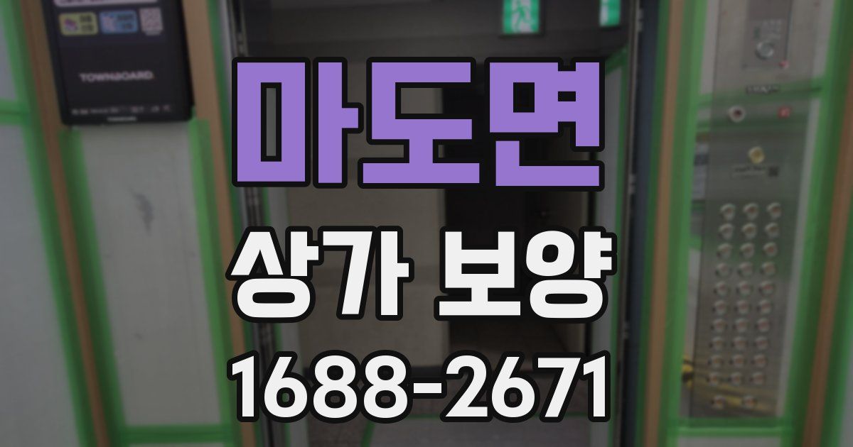 마도면 상가 보양