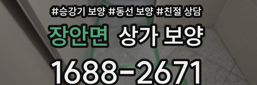 장안면 상가 보양