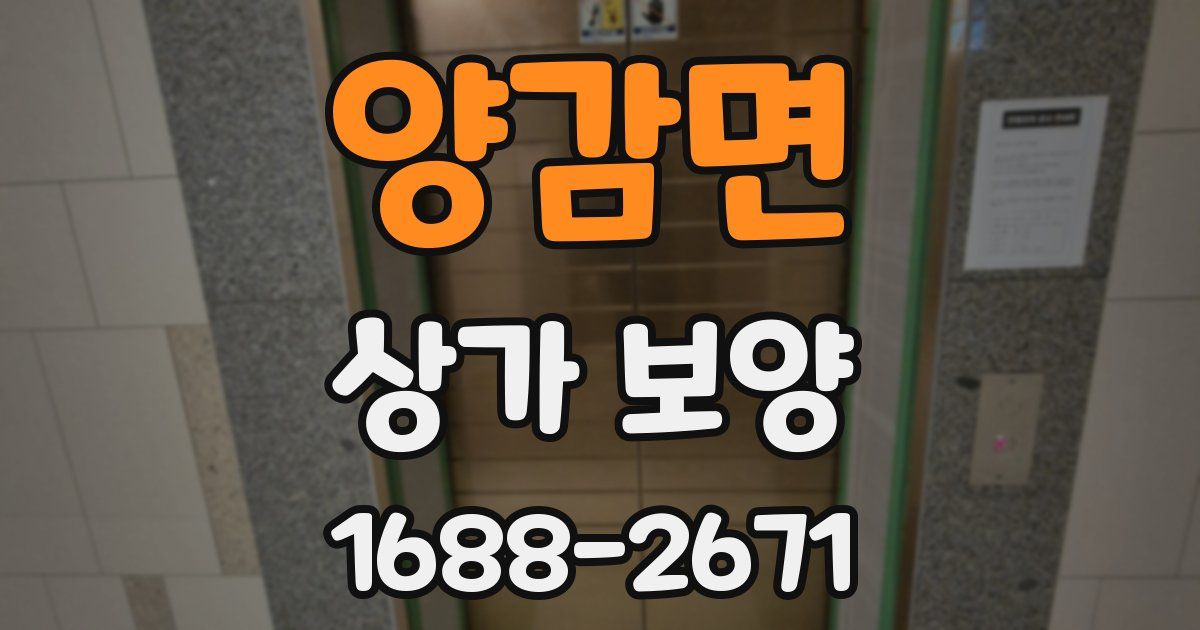 양감면 상가 보양