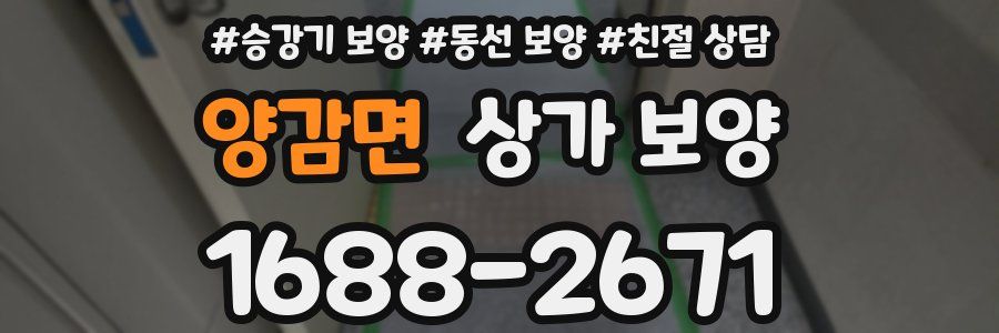 양감면 상가 보양