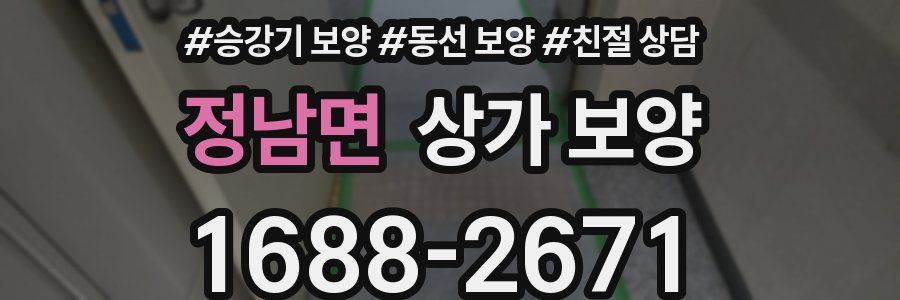 정남면 상가 보양