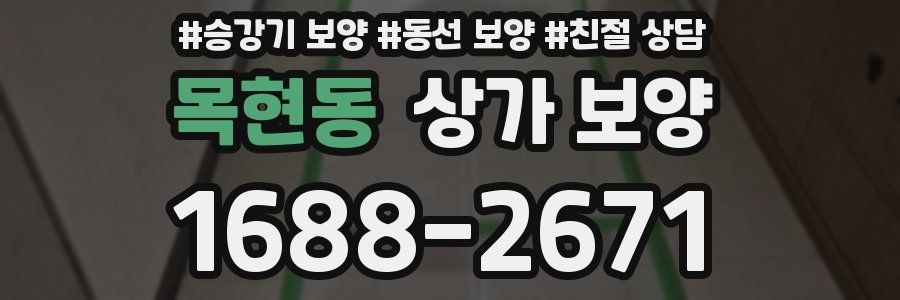 목현동 상가 보양