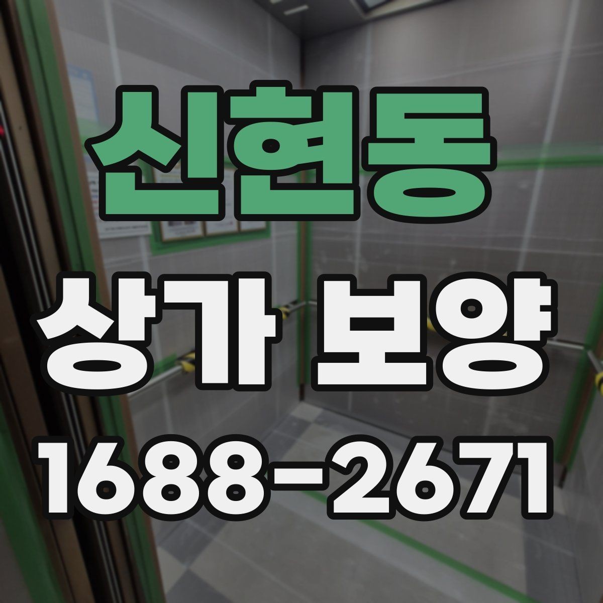 신현동 상가 보양 자재 비교로 보는 현장별 선택법