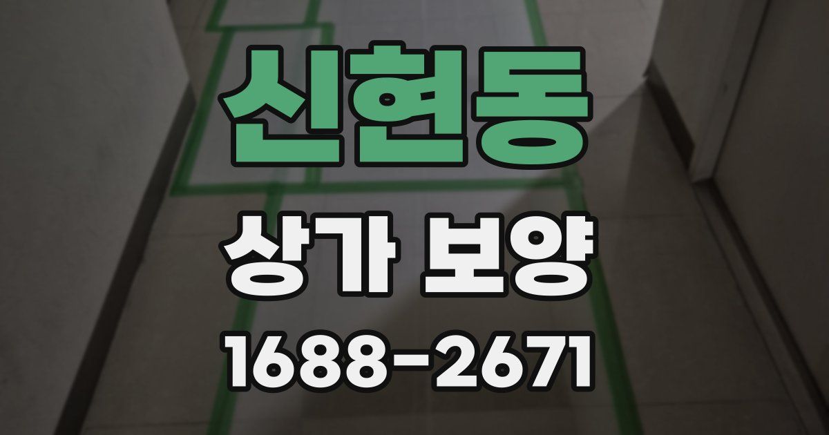 신현동 상가 보양