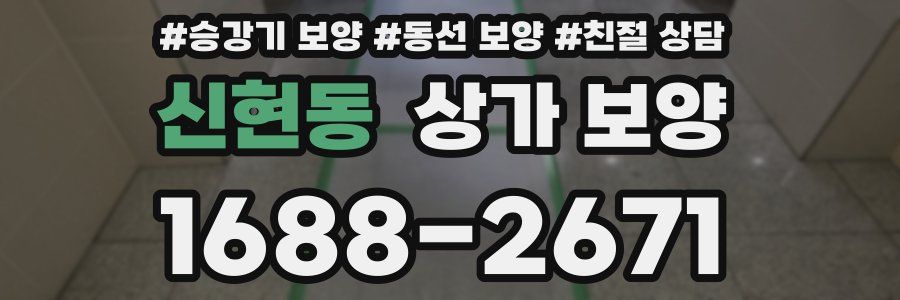 신현동 상가 보양