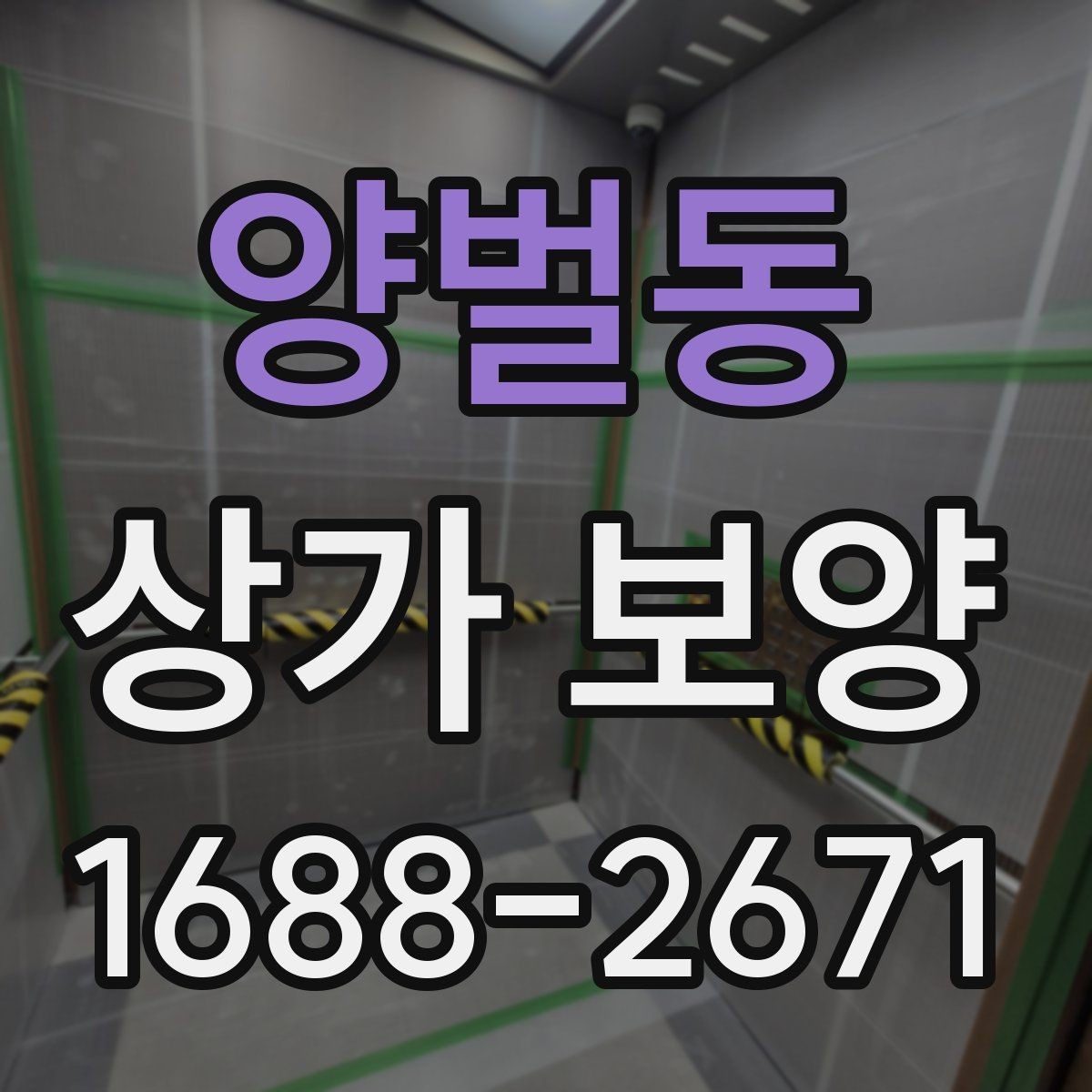 양벌동 상가 보양 시 보호 범위 설정 기준