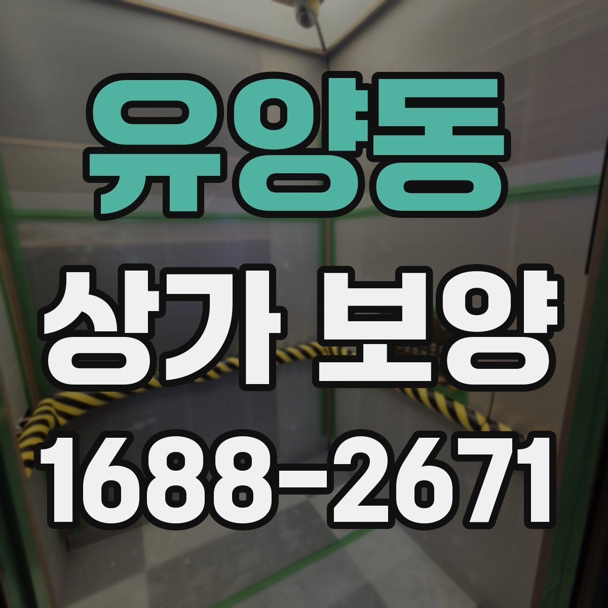 유양동 상가 보양 단계별 진행 방식과 확인 포인트