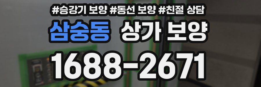 삼숭동 상가 보양