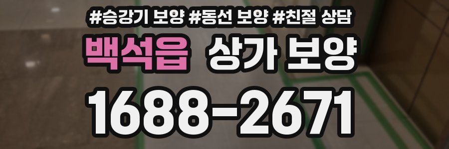 백석읍 상가 보양