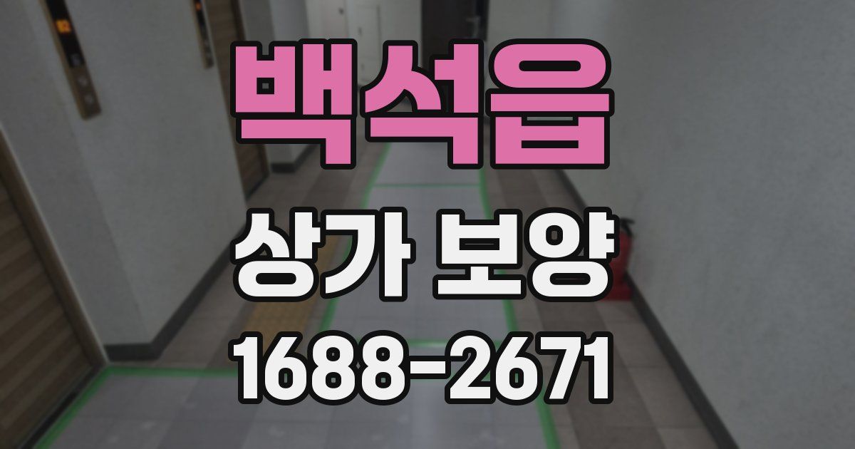 백석읍 상가 보양