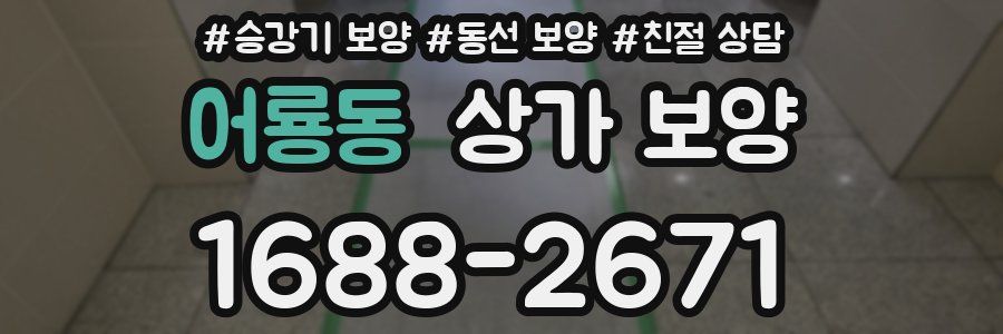 어룡동 상가 보양