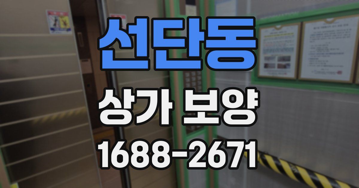 선단동 상가 보양