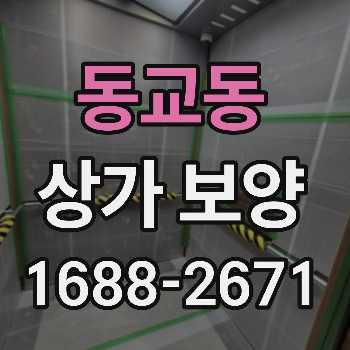 동교동 상가 보양 범위가 달라지는 이유