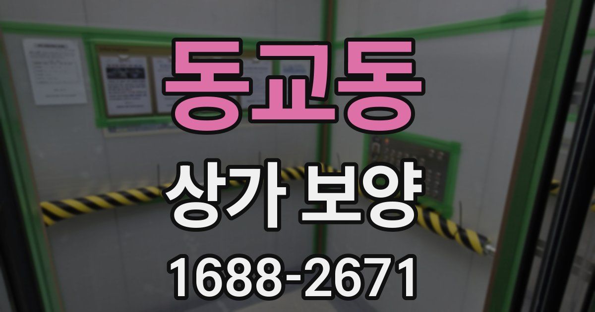 동교동 상가 보양