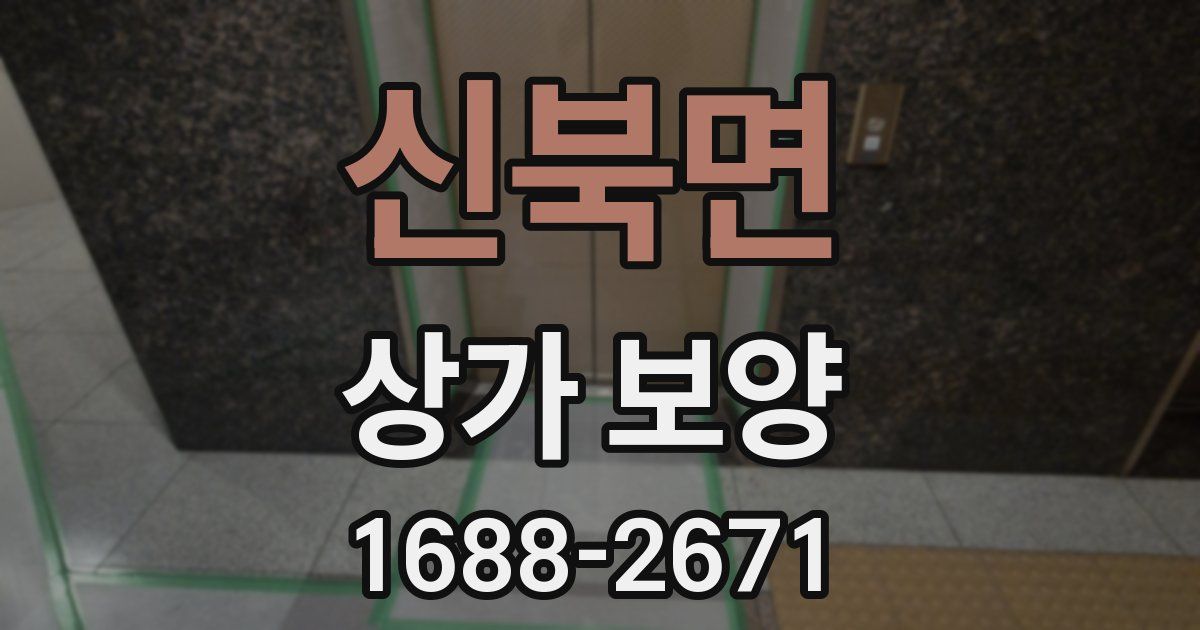 신북면 상가 보양