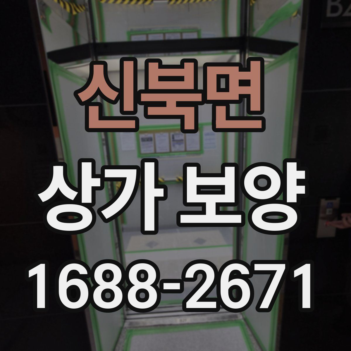 신북면 상가 보양