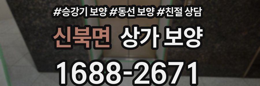 신북면 상가 보양