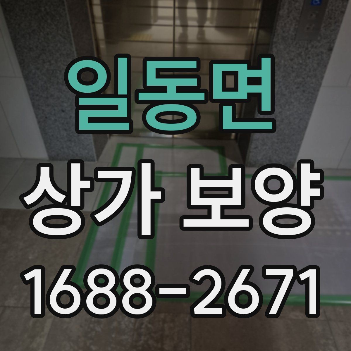 일동면 상가 보양 업체 비교 시 보는 기준