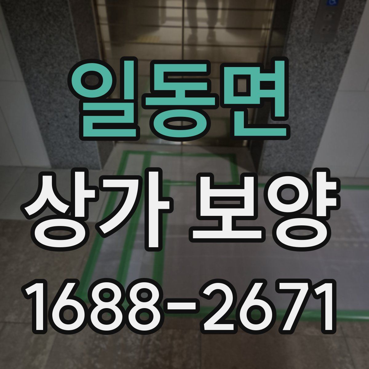 일동면 상가 보양