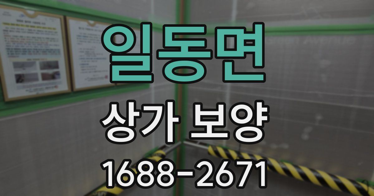 일동면 상가 보양