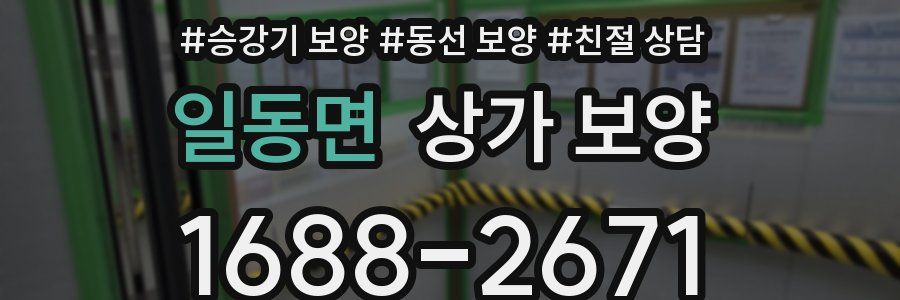 일동면 상가 보양