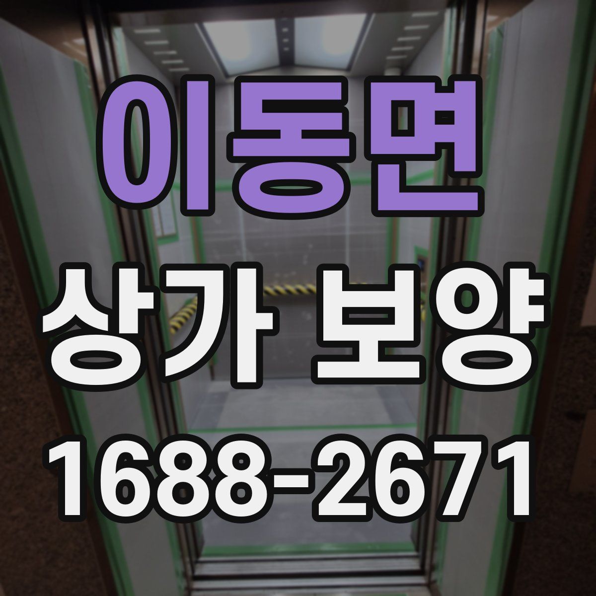 이동면 상가 보양