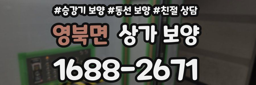영북면 상가 보양