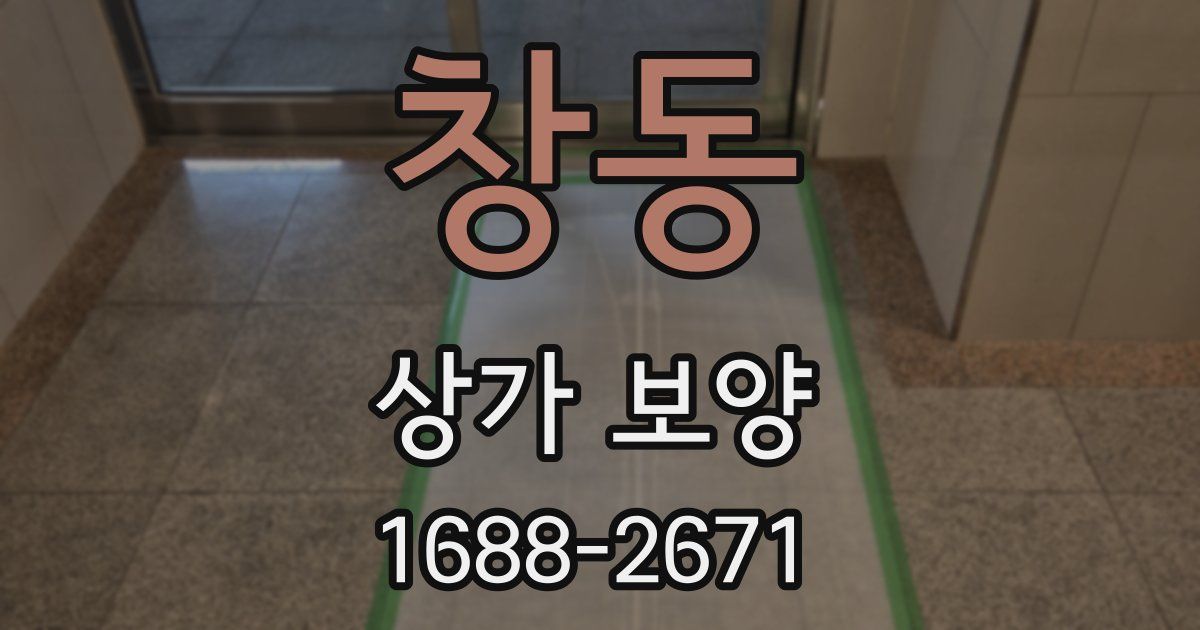 창동 상가 보양