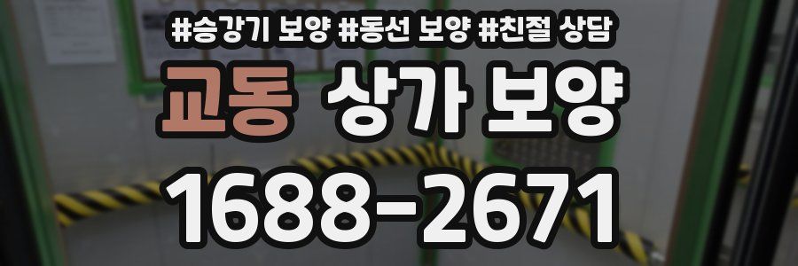 교동 상가 보양