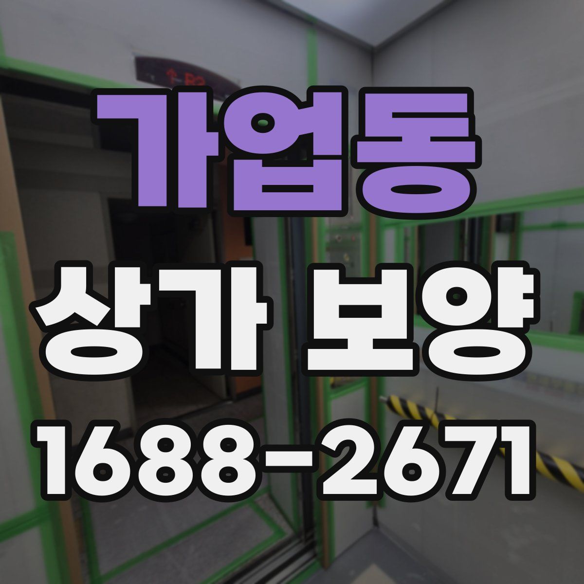 가업동 상가 보양