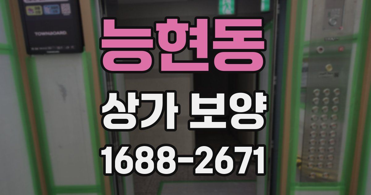 능현동 상가 보양