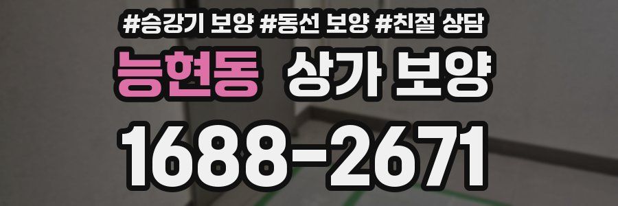 능현동 상가 보양
