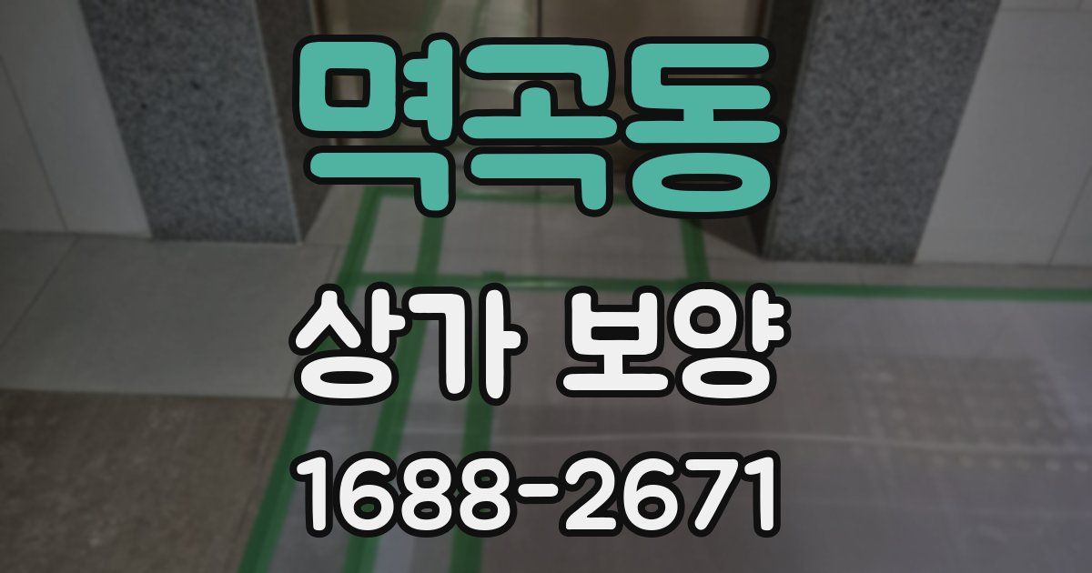 멱곡동 상가 보양