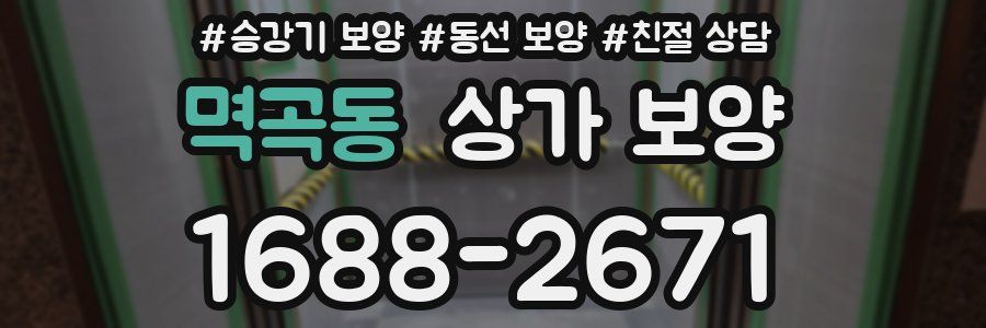 멱곡동 상가 보양