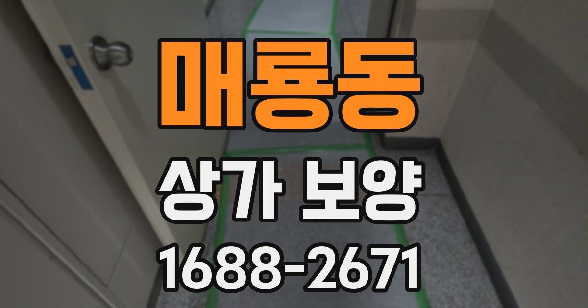 매룡동 상가 보양